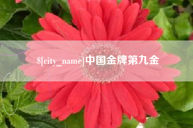 黔东南中国金牌第九金