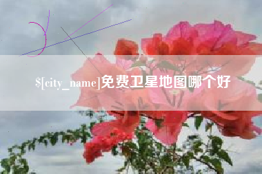黔东南免费卫星地图哪个好