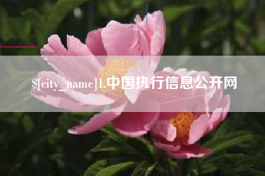 黔东南1.中国执行信息公开网