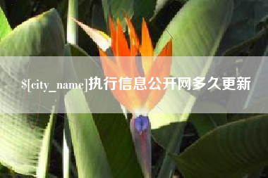 黔东南执行信息公开网多久更新