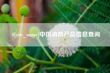 黔东南中国消防产品信息查询