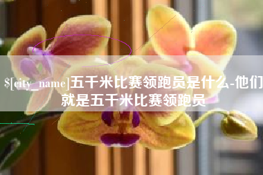 黔东南五千米比赛领跑员是什么-他们就是五千米比赛领跑员