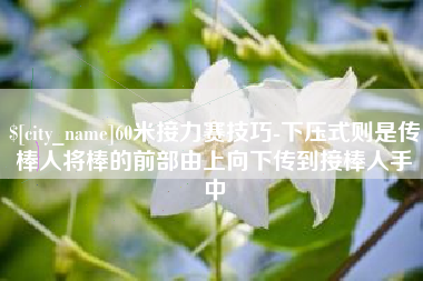 黔东南60米接力赛技巧-下压式则是传棒人将棒的前部由上向下传到接棒人手中
