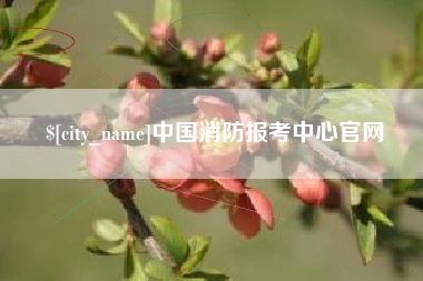 黔东南中国消防报考中心官网