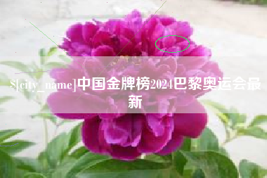 黔东南中国金牌榜2024巴黎奥运会最新