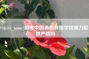 黔东南报考中国消防救援学院视力检查严格吗