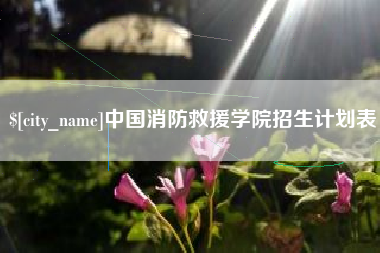 黔东南中国消防救援学院招生计划表