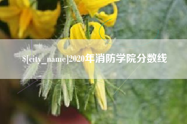 黔东南2020年消防学院分数线