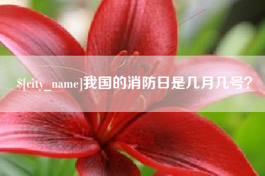 黔东南我国的消防日是几月几号？