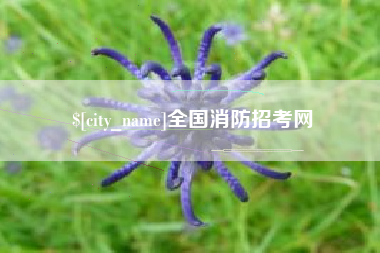 黔东南全国消防招考网