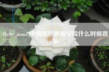 黔东南中国消防救援学院什么时候政审