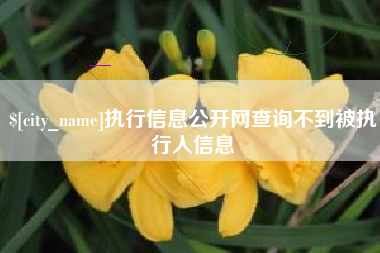 黔东南执行信息公开网查询不到被执行人信息