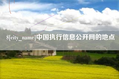 黔东南中国执行信息公开网的地点