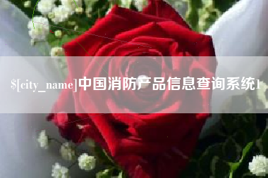 黔东南中国消防产品信息查询系统1