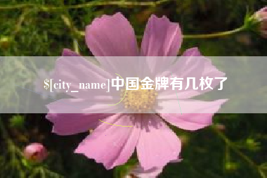 黔东南中国金牌有几枚了