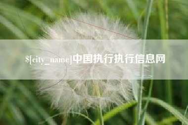 黔东南中国执行执行信息网