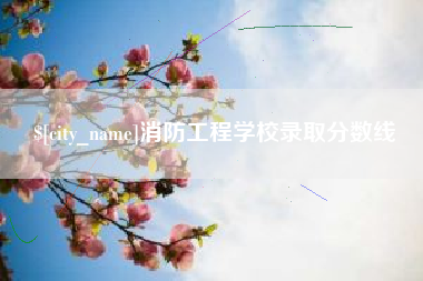 黔东南消防工程学校录取分数线