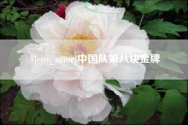 黔东南中国队第八块金牌