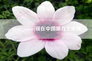 黔东南现在中国哪几个金牌