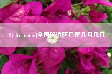 黔东南全国的消防日是几月几日