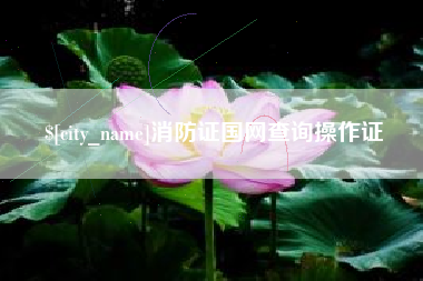 黔东南消防证国网查询操作证