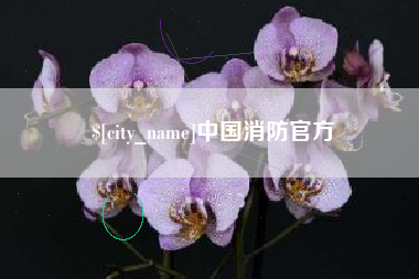 黔东南中国消防官方