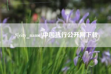 黔东南中国执行公开网下载