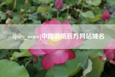 黔东南中国消防官方网站域名