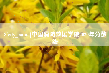 黔东南中国消防救援学院2020年分数线