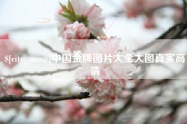 黔东南中国金牌图片大全大图真实高清