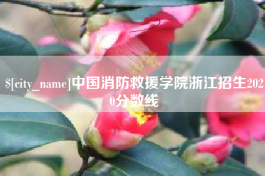 黔东南中国消防救援学院浙江招生2020分数线