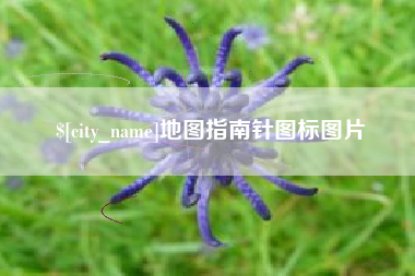 黔东南地图指南针图标图片