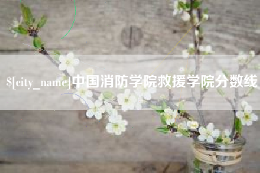 黔东南中国消防学院救援学院分数线