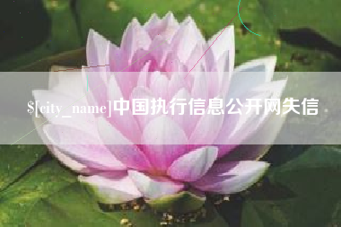 黔东南中国执行信息公开网失信