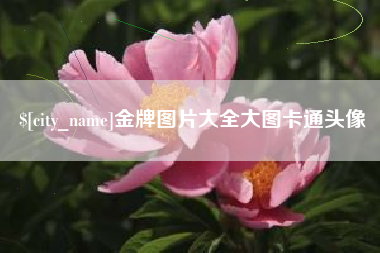 黔东南金牌图片大全大图卡通头像